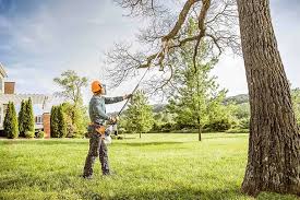 Best Tree and Shrub Care  in Oakbrook Terrace, IL