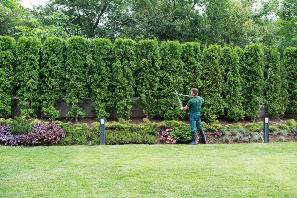 Best Artificial Turf Installation  in Oakbrook Terrace, IL